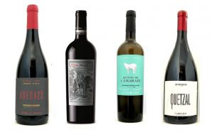 A campanha vitícola começa agora: 7 lançamentos