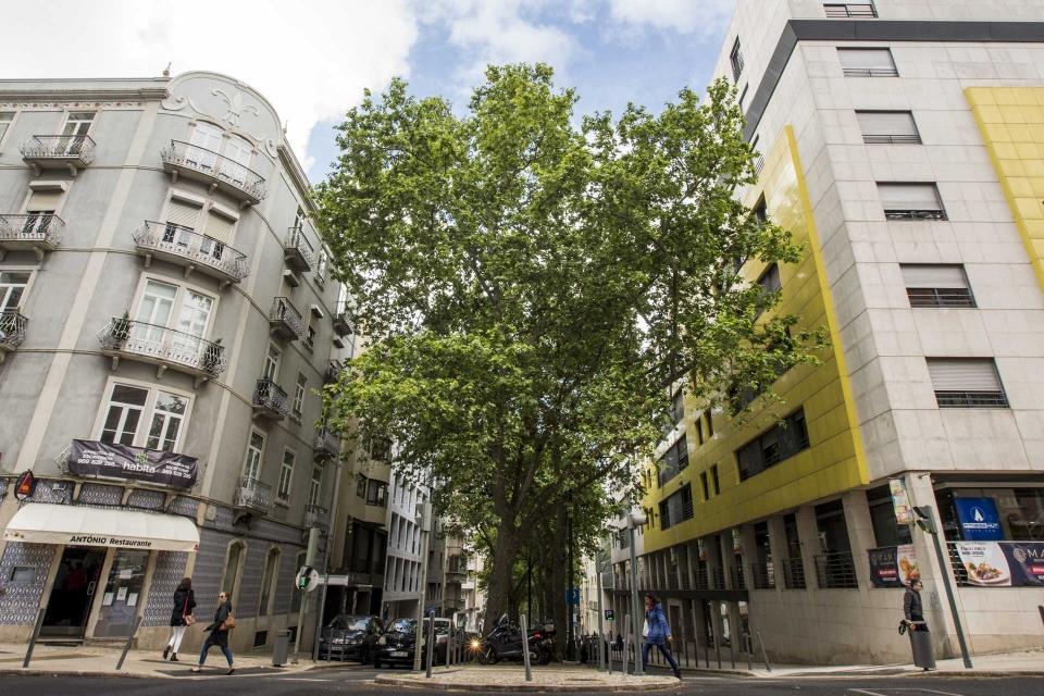 Rua Viriato em Lisboa