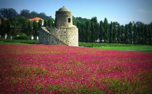 V. N. de Gaia: a rua do romance de Pedro e Inês