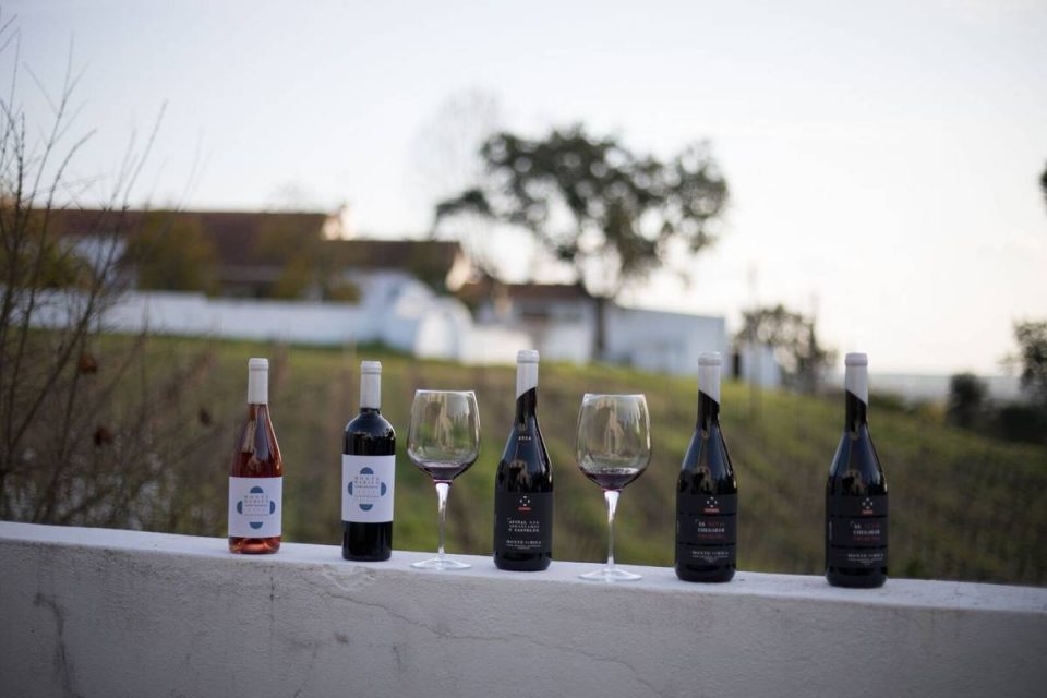 Monte da Bica: gin e vinhos cheios de amor pelo Alentejo