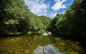 Esta semana fomos ao rio Vez, a Estremoz e Condeixa-a-Nova