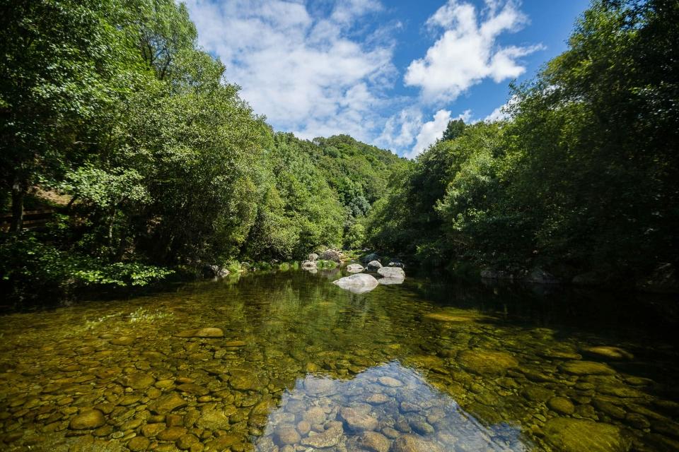 Esta semana fomos ao rio Vez, a Estremoz e Condeixa-a-Nova