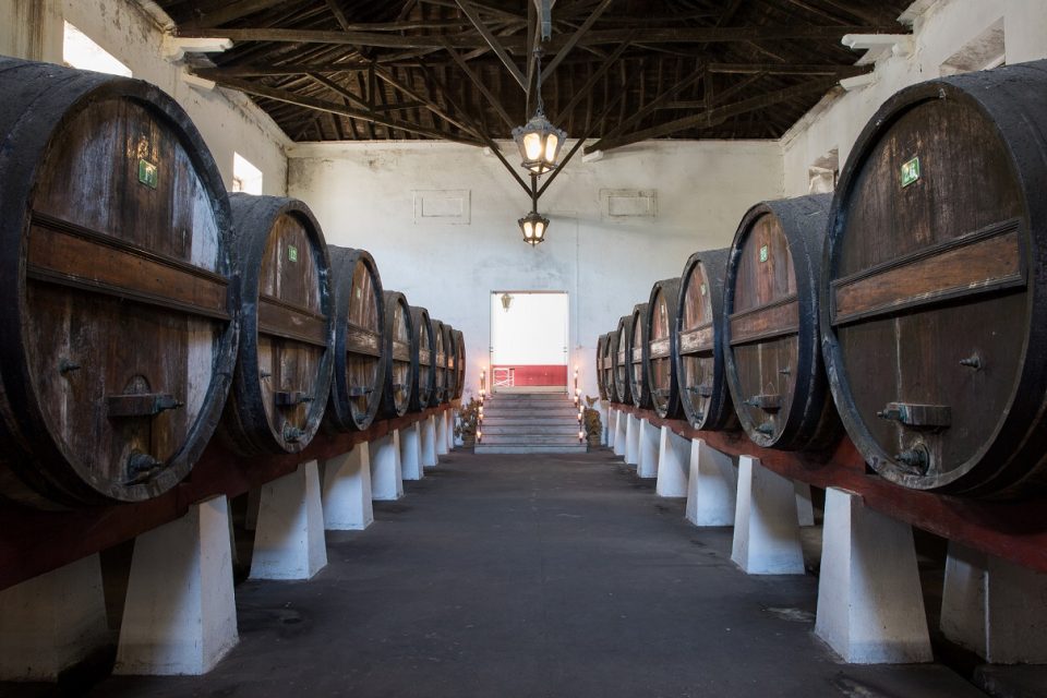 Quinta a uma hora de Lisboa abre portas para prova de vinhos, arte, música e caminhada