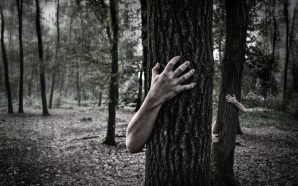 Alcácer do Sal vai ter uma escape room de terror e outros «sustos»