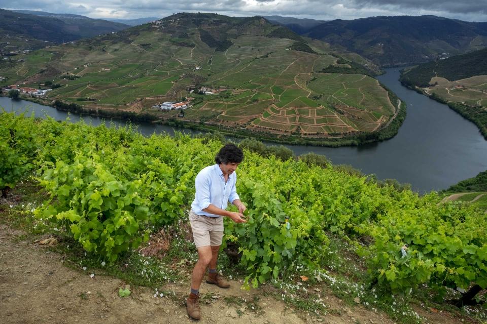Roteiro pelo Douro em auto-caravana