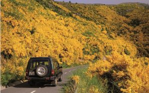 Madeira: entre mar e montanha, há novidades em Câmara de Lobos