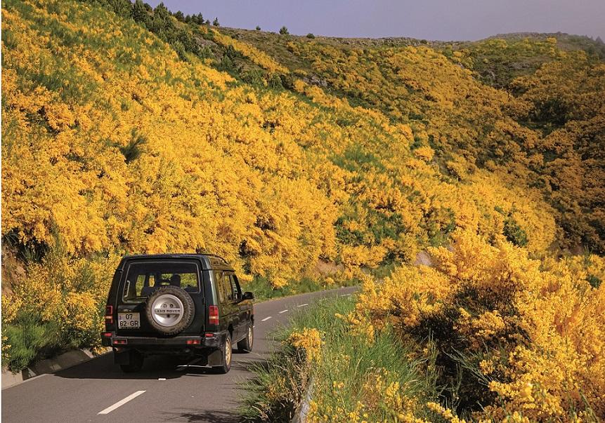 Madeira: entre mar e montanha, há novidades em Câmara de Lobos