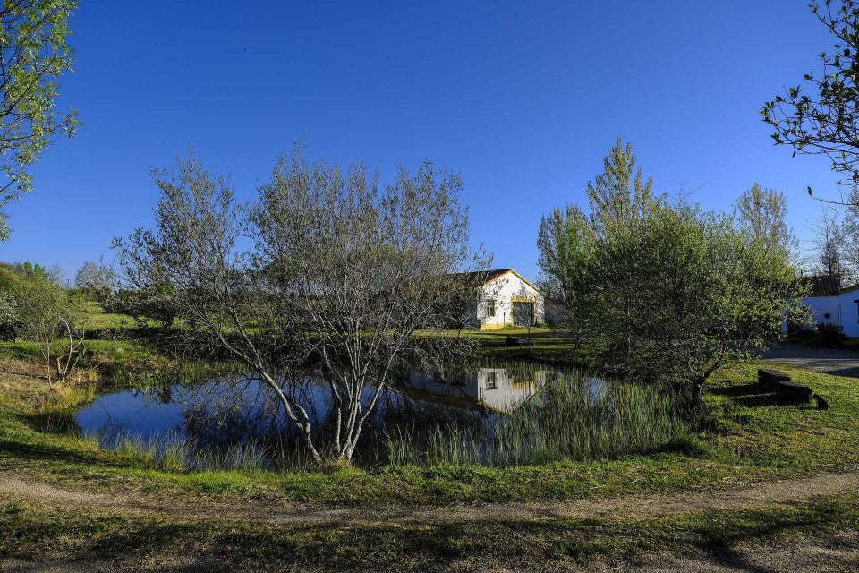 Neste turismo rural beirão, ensina-se tecelagem e restauro de móveis