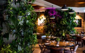 Erva: «Menos é mais» nesta cozinha biológica de Sete Rios