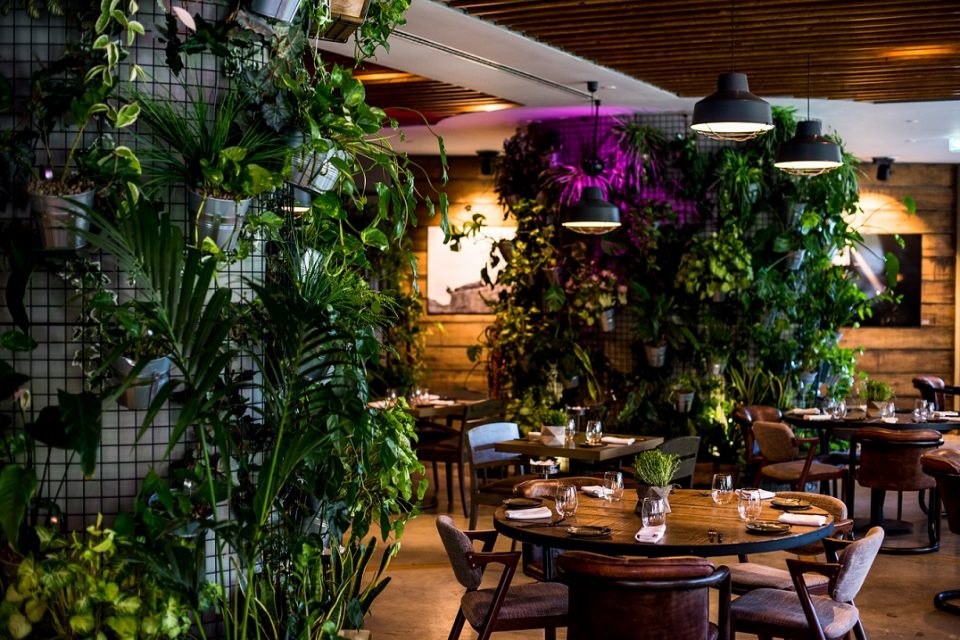 Erva: «Menos é mais» nesta cozinha biológica de Sete Rios