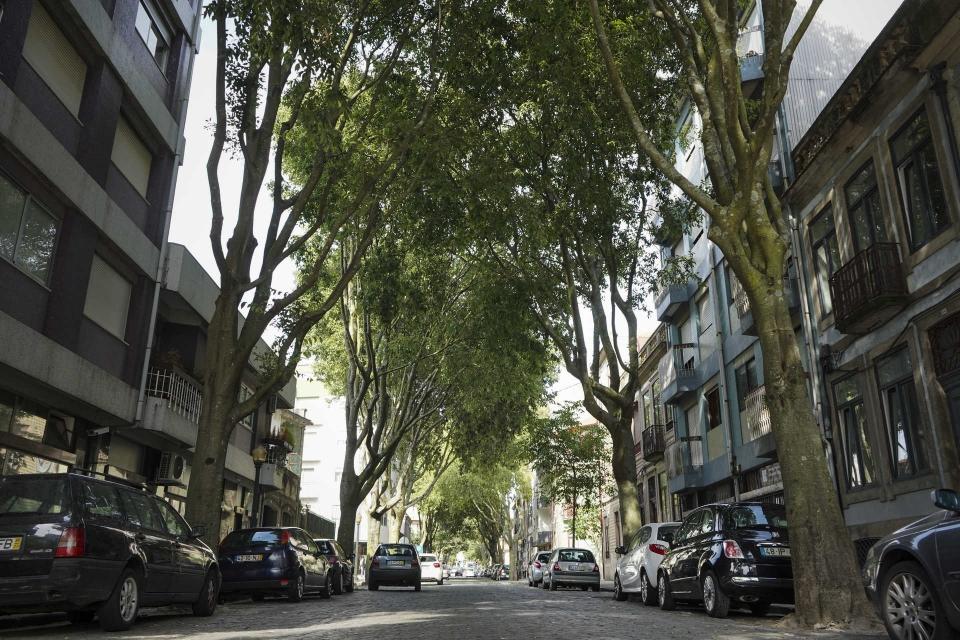 Rua Joaquim Antnio de Aguiar.