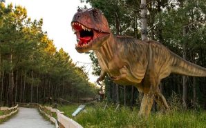 Dino Parque da Lourinhã leva os dinossauros até nossa casa