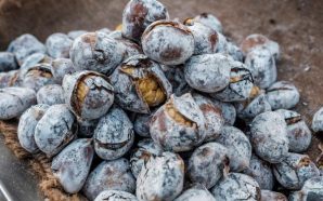 Aldeia da Guarda vai distribuir 150 quilos de castanhas, numa tradição secular