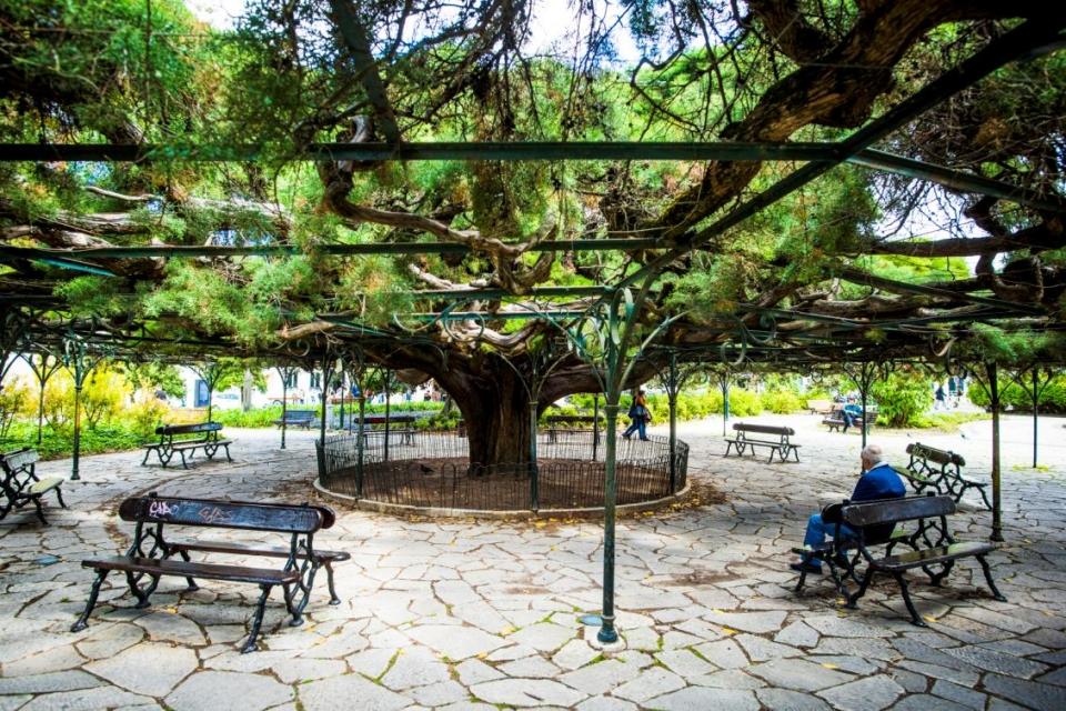 Se há poiso obrigatório para mercados é no Jardim do Príncipe Real, que todos os fins-de-semana é ocupado por bancas de pequenos produtores e artesãos. O melhor é levar um saquinho de pano, que isto do plástico já não se usa, para tratar das compras da semana no que diz respeito às frutas e legumes frescos: todos os sábados há mercado biológico, das 07.00 às 14.00.
