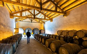 Mário Sérgio Nuno: o líder tranquilo da Bairrada