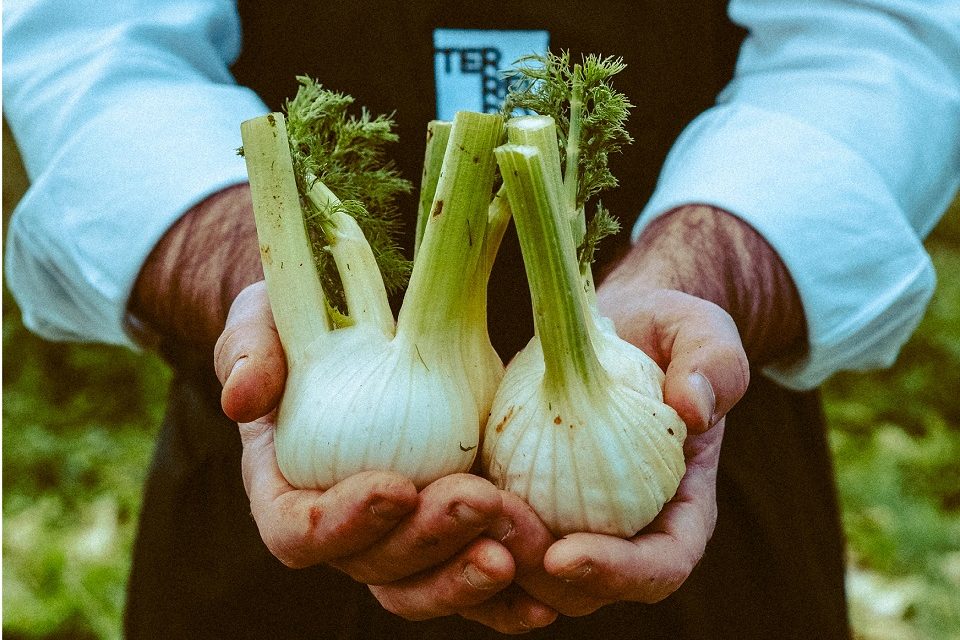 Legado: vêm aí os jantares que vão recuperar tradições madeirenses à mesa
