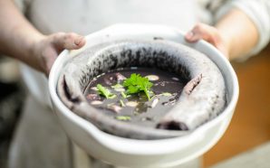 Chegou a altura da lampreia: onde comê-la a Norte
