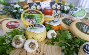 Açores: "O que distingue os nossos queijos são as vacas felizes"