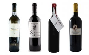 9 vinhos para celebrar os 40 anos da Região Demarcada da Bairrada