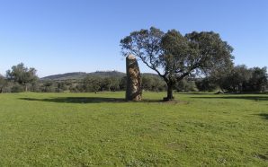O novo festival de música faz-se num monte alentejano, entre oliveiras milenares