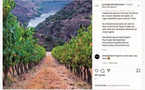 Apetece clicar aqui: as 7 colinas no Douro daquela que é "a quinta das quintas"