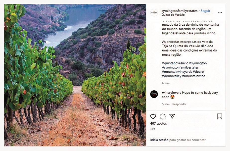 Apetece clicar aqui: as 7 colinas no Douro daquela que é "a quinta das quintas"