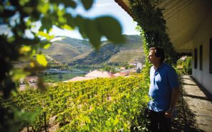 Produtores de vinhos do porto e Douro fornecem álcool-gel aos hospitais