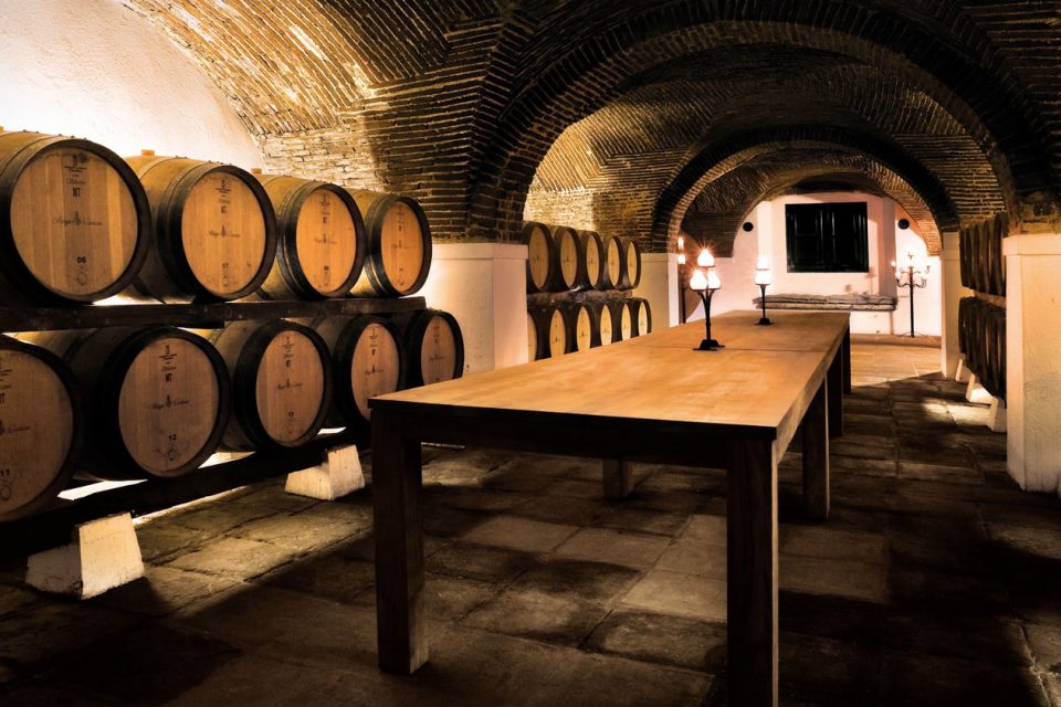 Nova loja online da Cartuxa leva vinhos e azeites alentejanos a todo o país