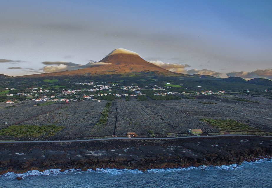 Açores: Vinhos do Pico lançam loja online e entregam em todo o país