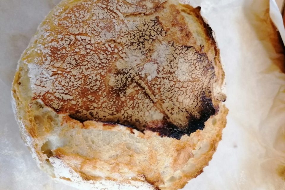 Os dias dos leitores: meter as mãos na massa e deixar surpresas à porta