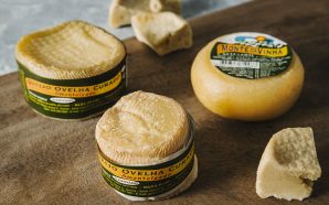 Queijaria alentejana vai doar mais de 2500 queijos a profissionais de saúde