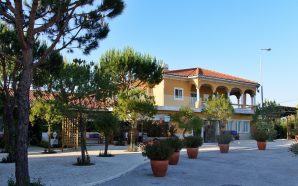 A celebrar 73 anos, Rei dos Leitões reabre com novo espaço verde e pratos