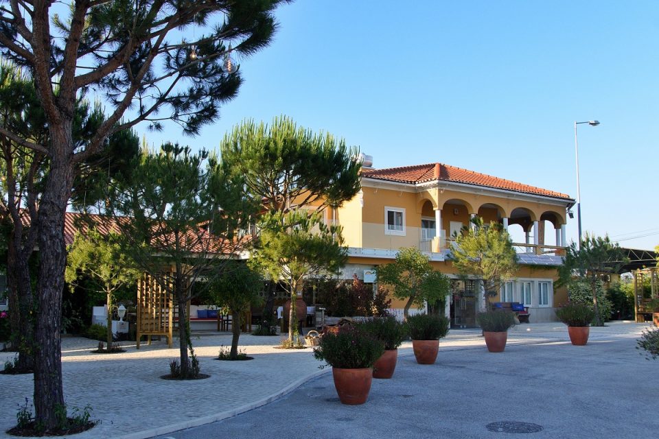 A celebrar 73 anos, Rei dos Leitões reabre com novo espaço verde e pratos