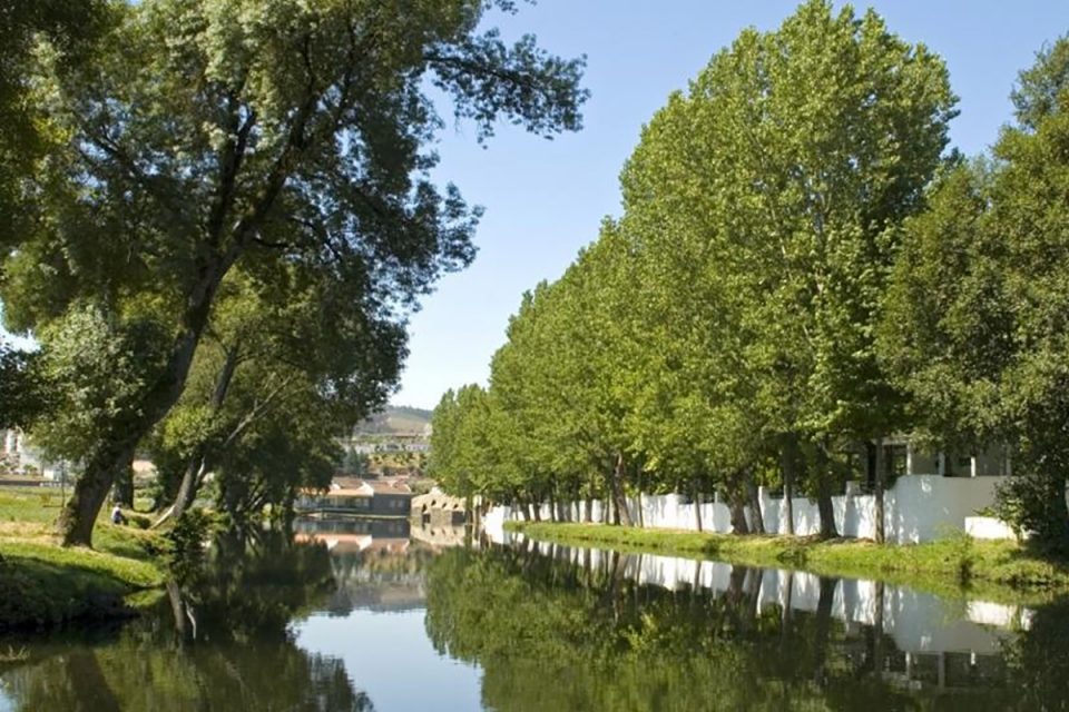 Praia fluvial beirã reabre com música ao vivo, pilates e sessões de leitura