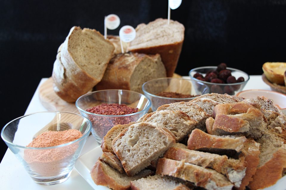 Este premiado pão de medronho vende-se em Leiria e Castelo Branco