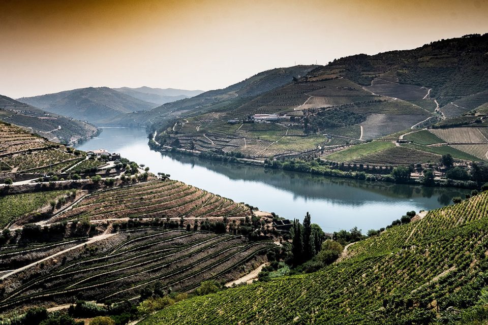 Nova rota permite conhecer o Alto Douro Vinhateiro de bicicleta
