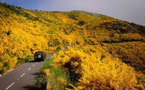 Madeira: nova campanha desafia portugueses para uma "escapadinha"