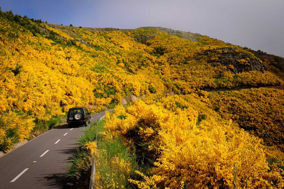 Madeira: nova campanha desafia portugueses para uma "escapadinha"
