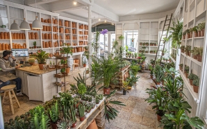 Três lojas novas e tradicionais em Lisboa para comprar plantas para a casa