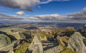 Viseu: comprar nas lojas de Tarouca dá direito a vouchers em restaurantes