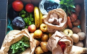 Peggada: nova plataforma reúne restaurantes sustentáveis, dicas e lojas a granel