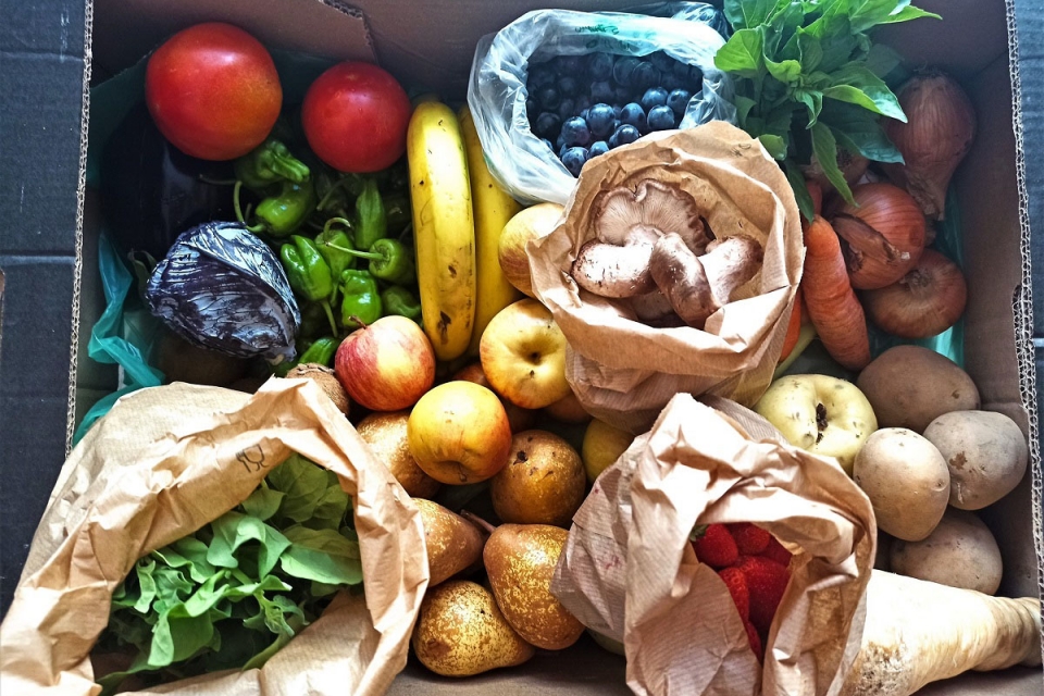 Peggada: nova plataforma reúne restaurantes sustentáveis, dicas e lojas a granel