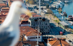 Concurso vai dar 2500 euros às melhores fotografia de Gaia