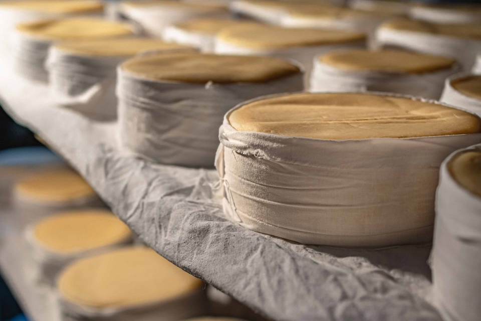 Vêm aí cinco feiras online para comprar Queijo da Serra da Estrela