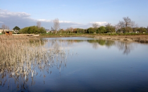 Treze anos depois, parque de Viana do Castelo vai abrir ao público