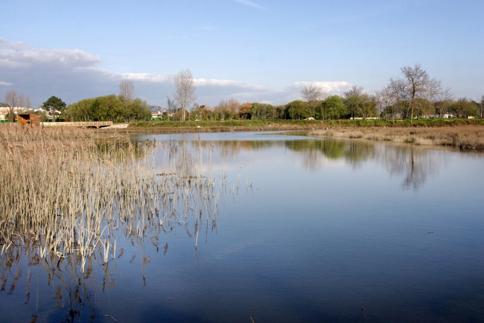 Treze anos depois, parque de Viana do Castelo vai abrir ao público