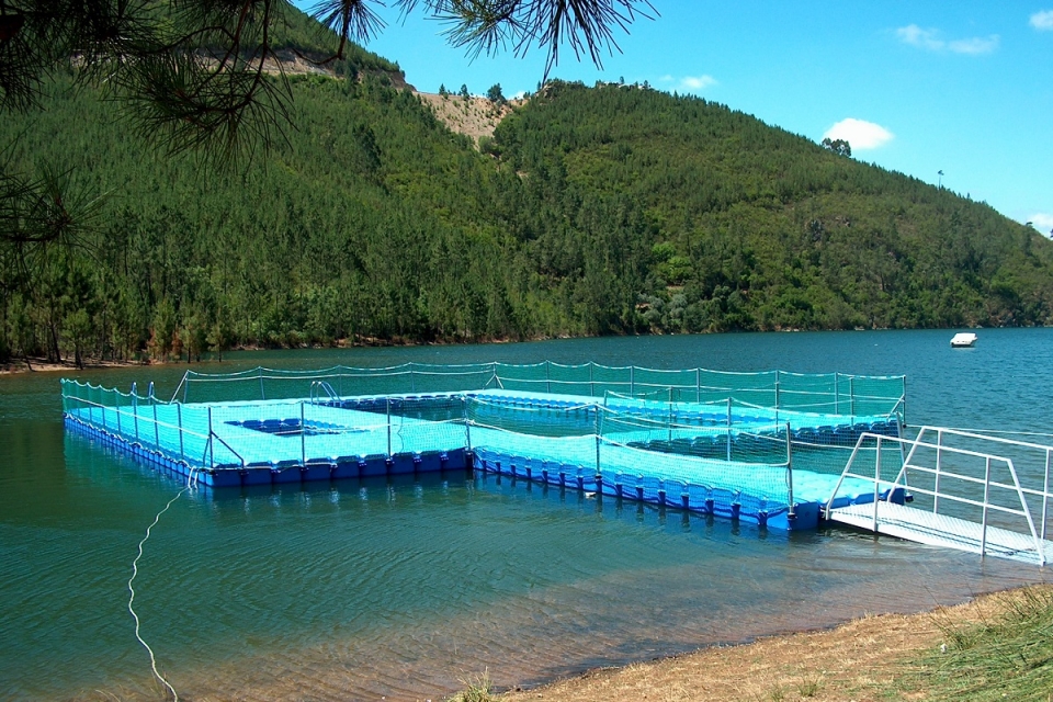 Praia fluvial em Vila de Rei vai ter desportos náuticos gratuitos em junho