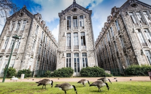 Parque D. Carlos I: uma floresta encantada nas Caldas da Rainha
