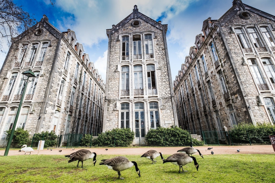 Parque D. Carlos I: uma floresta encantada nas Caldas da Rainha