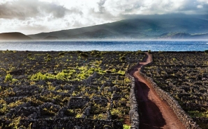 Festival açoriano reúne literatura, música, teatro e dança durante um mês